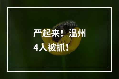 严起来！温州4人被抓！