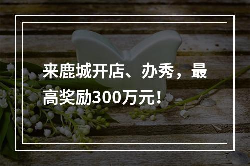 来鹿城开店、办秀，最高奖励300万元！