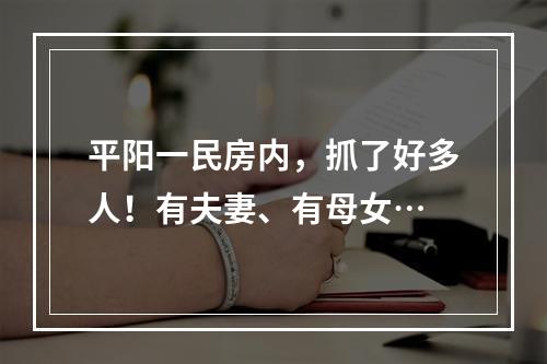 平阳一民房内，抓了好多人！有夫妻、有母女…