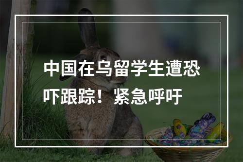 中国在乌留学生遭恐吓跟踪！紧急呼吁