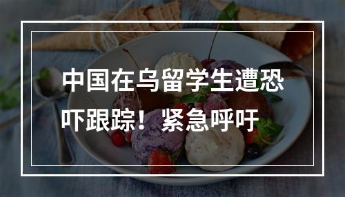 中国在乌留学生遭恐吓跟踪！紧急呼吁