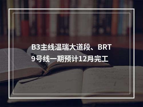 B3主线温瑞大道段、BRT9号线一期预计12月完工