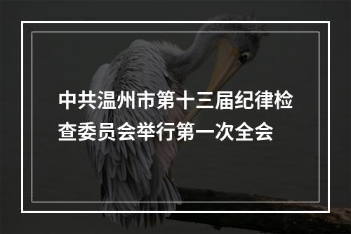 中共温州市第十三届纪律检查委员会举行第一次全会