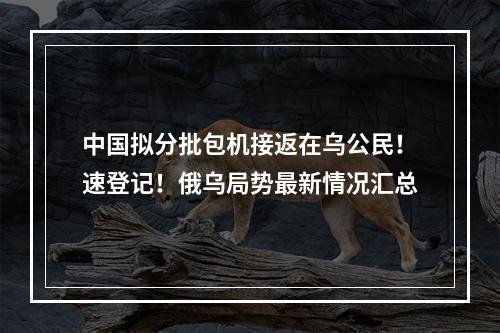 中国拟分批包机接返在乌公民！速登记！俄乌局势最新情况汇总