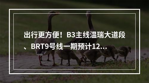 出行更方便！B3主线温瑞大道段、BRT9号线一期预计12月完工