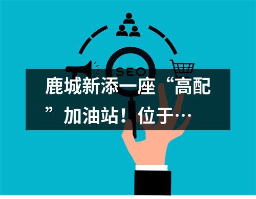 鹿城新添一座“高配”加油站！位于…