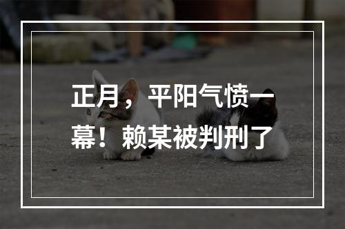 正月，平阳气愤一幕！赖某被判刑了