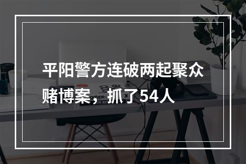 平阳警方连破两起聚众赌博案，抓了54人