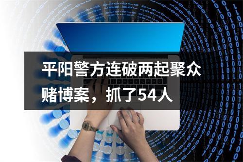 平阳警方连破两起聚众赌博案，抓了54人