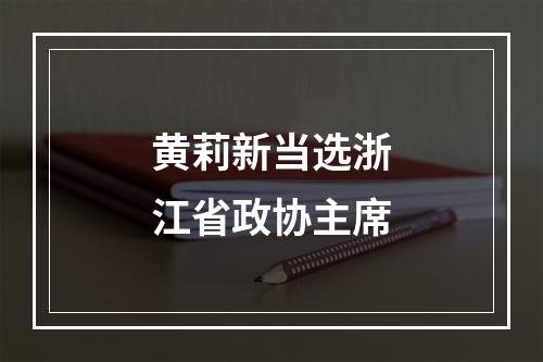 黄莉新当选浙江省政协主席