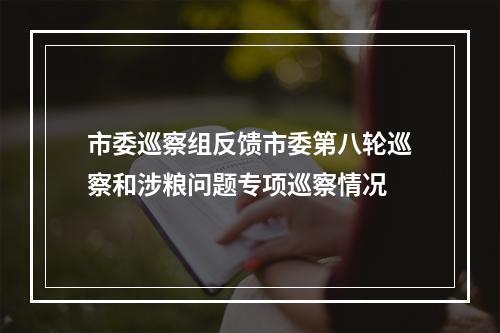 市委巡察组反馈市委第八轮巡察和涉粮问题专项巡察情况