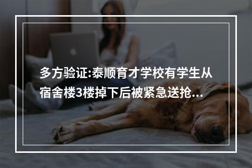 多方验证:泰顺育才学校有学生从宿舍楼3楼掉下后被紧急送抢救