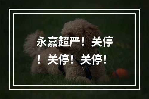 永嘉超严！关停！关停！关停！