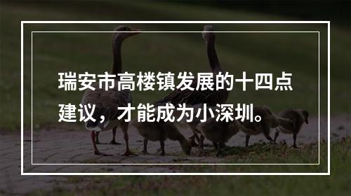 瑞安市高楼镇发展的十四点建议，才能成为小深圳。