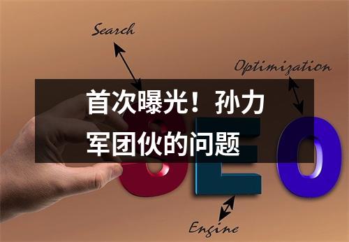 首次曝光！孙力军团伙的问题