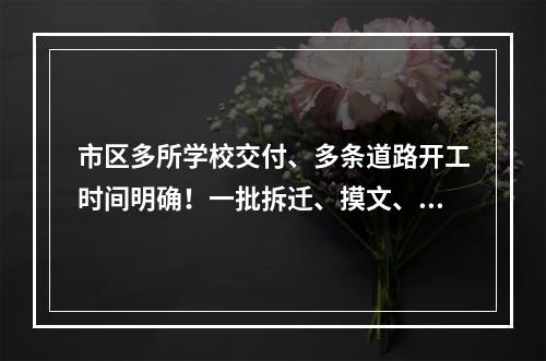 市区多所学校交付、多条道路开工时间明确！一批拆迁、摸文、学区、城建信息来了...