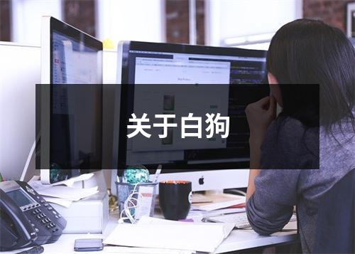 关于白狗