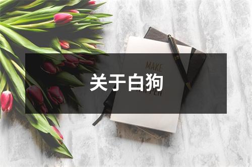 关于白狗