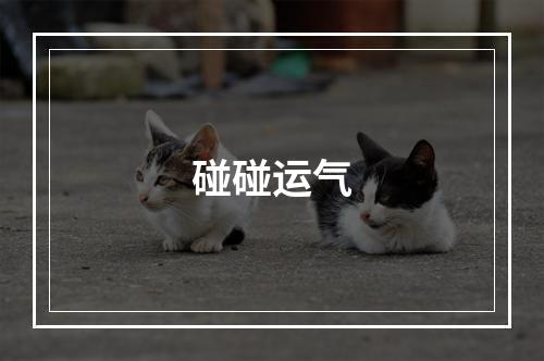 碰碰运气