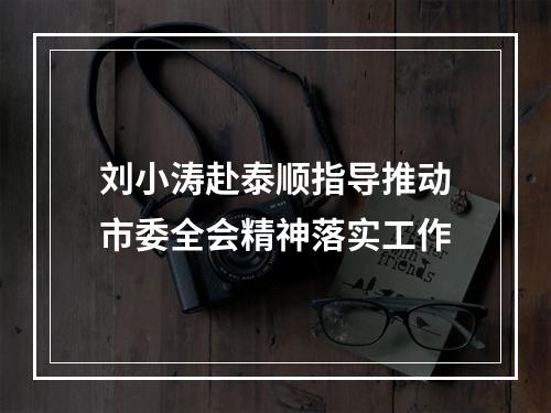 刘小涛赴泰顺指导推动市委全会精神落实工作