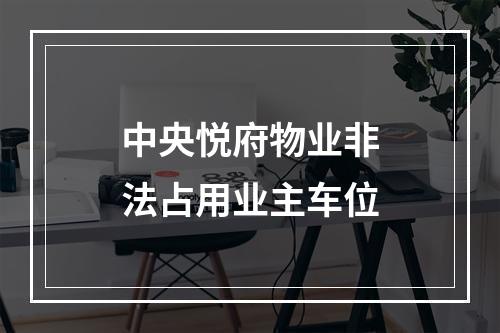 中央悦府物业非法占用业主车位