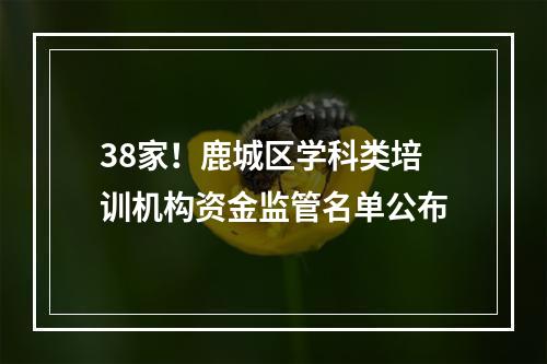 38家！鹿城区学科类培训机构资金监管名单公布