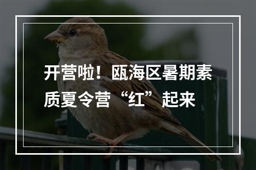 开营啦！瓯海区暑期素质夏令营“红”起来