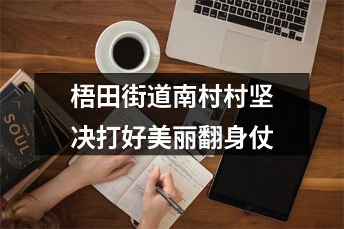 梧田街道南村村坚决打好美丽翻身仗