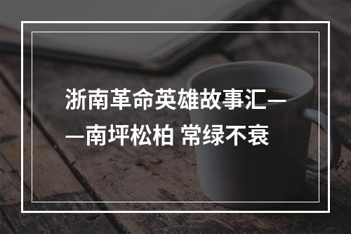 浙南革命英雄故事汇——南坪松柏 常绿不衰