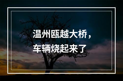 温州瓯越大桥，车辆烧起来了