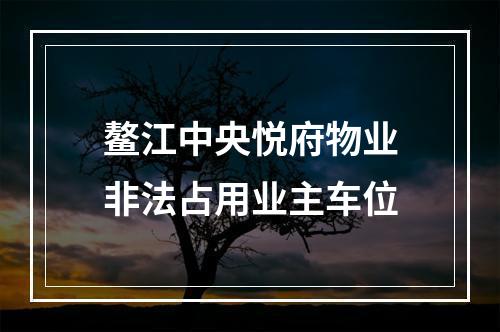 鳌江中央悦府物业非法占用业主车位