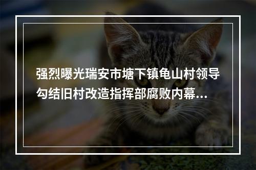 强烈曝光瑞安市塘下镇龟山村领导勾结旧村改造指挥部腐败内幕(续图)