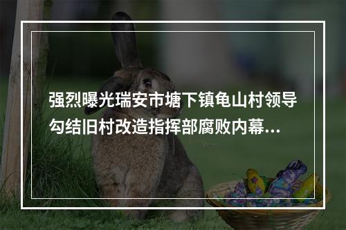 强烈曝光瑞安市塘下镇龟山村领导勾结旧村改造指挥部腐败内幕(续图)