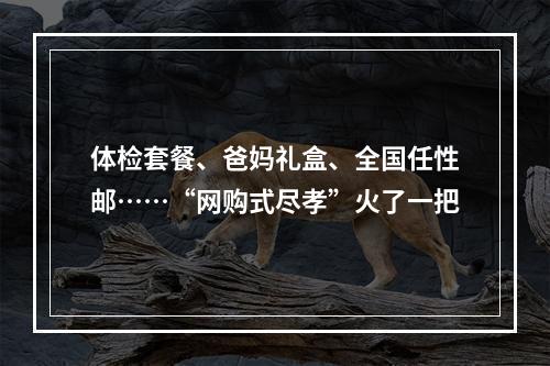体检套餐、爸妈礼盒、全国任性邮……“网购式尽孝”火了一把