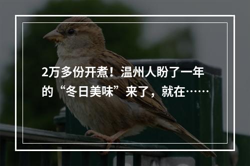2万多份开煮！温州人盼了一年的“冬日美味”来了，就在……
