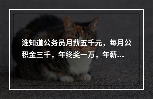 谁知道公务员月薪五千元，每月公积金三千，年终奖一万，年薪8万是这样吗？