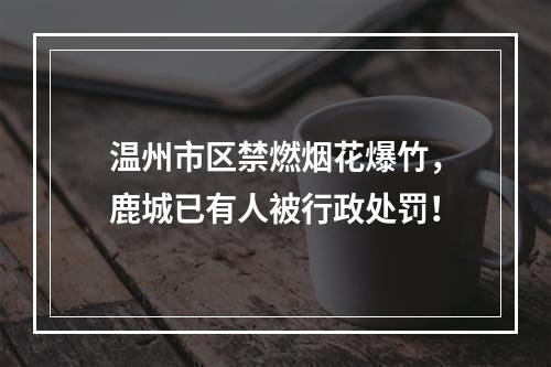 温州市区禁燃烟花爆竹，鹿城已有人被行政处罚！