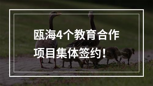 瓯海4个教育合作项目集体签约！