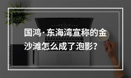 国鸿·东海湾宣称的金沙滩怎么成了泡影？