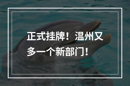 正式挂牌！温州又多一个新部门！