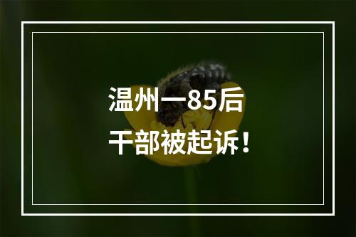温州一85后干部被起诉！