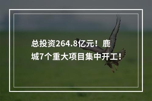 总投资264.8亿元！鹿城7个重大项目集中开工！