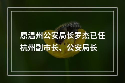 原温州公安局长罗杰已任杭州副市长、公安局长