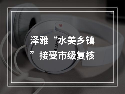 泽雅“水美乡镇”接受市级复核