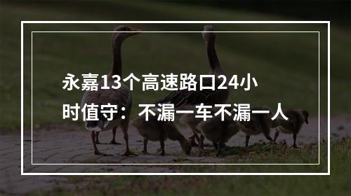 永嘉13个高速路口24小时值守：不漏一车不漏一人