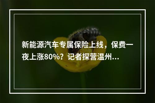 新能源汽车专属保险上线，保费一夜上涨80%？记者探营温州4S店