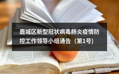 鹿城区新型冠状病毒肺炎疫情防控工作领导小组通告（第1号)