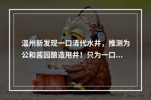 温州新发现一口清代水井，推测为公和酱园酿造用井！只为一口鲜，乐清匠人坚持用传...