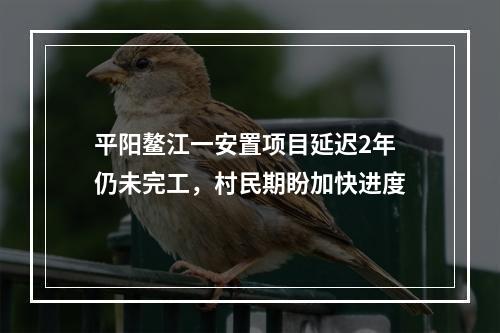 平阳鳌江一安置项目延迟2年仍未完工，村民期盼加快进度