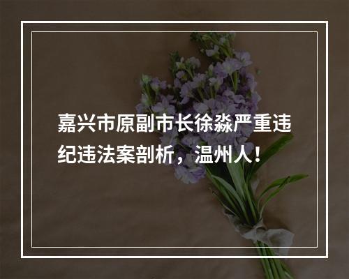 嘉兴市原副市长徐淼严重违纪违法案剖析，温州人！